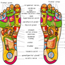 Wooden Roller Foot Massager - MekMart