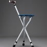 Multi-function cane crutch stool - MekMart