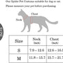 Spider Costume for Dogs and Cats,Halloween Party Dress Up - MekMart