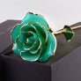 Bloom Eternal Rose