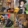 Spider Costume for Dogs and Cats,Halloween Party Dress Up - MekMart