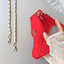 Chain lanyard bag type diagonal mobile phone case(Gift pearl chain)