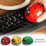 Mini Cute Ladybug Desktop Vacuum Cleaner - MekMart