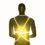 LED Safety Vest