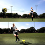 Professional Adjustable Football Training Belt