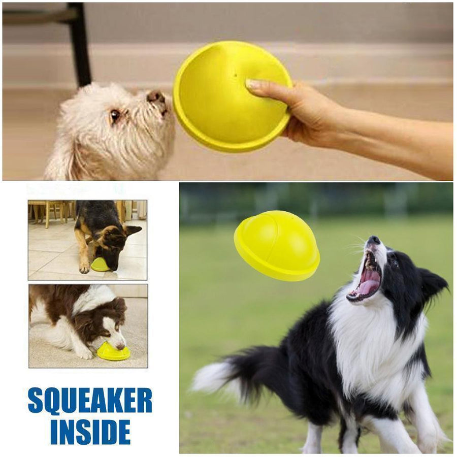 Indoor Gliding Squeaky Dog Toy - MekMart