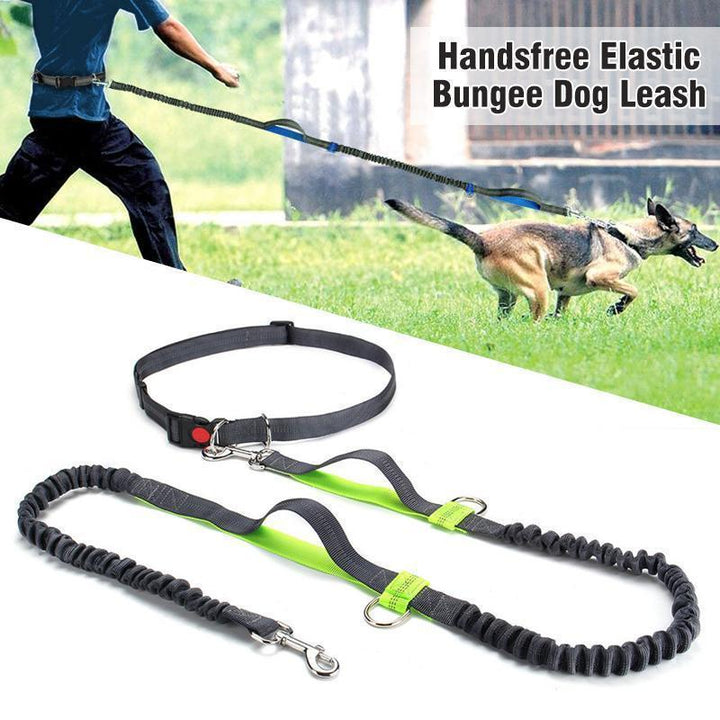 Handsfree Elastic Bungee Dog Leash - MekMart