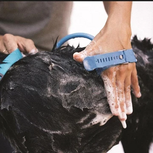 Pet Bathing Massaging Glove