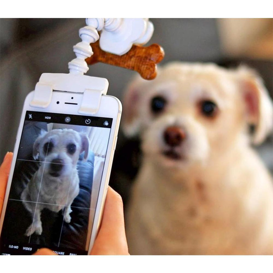 Hirundo Lovely Pet Selfie Stick - MekMart