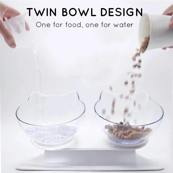 Anti-Vomiting Orthopedic Pet Bowl